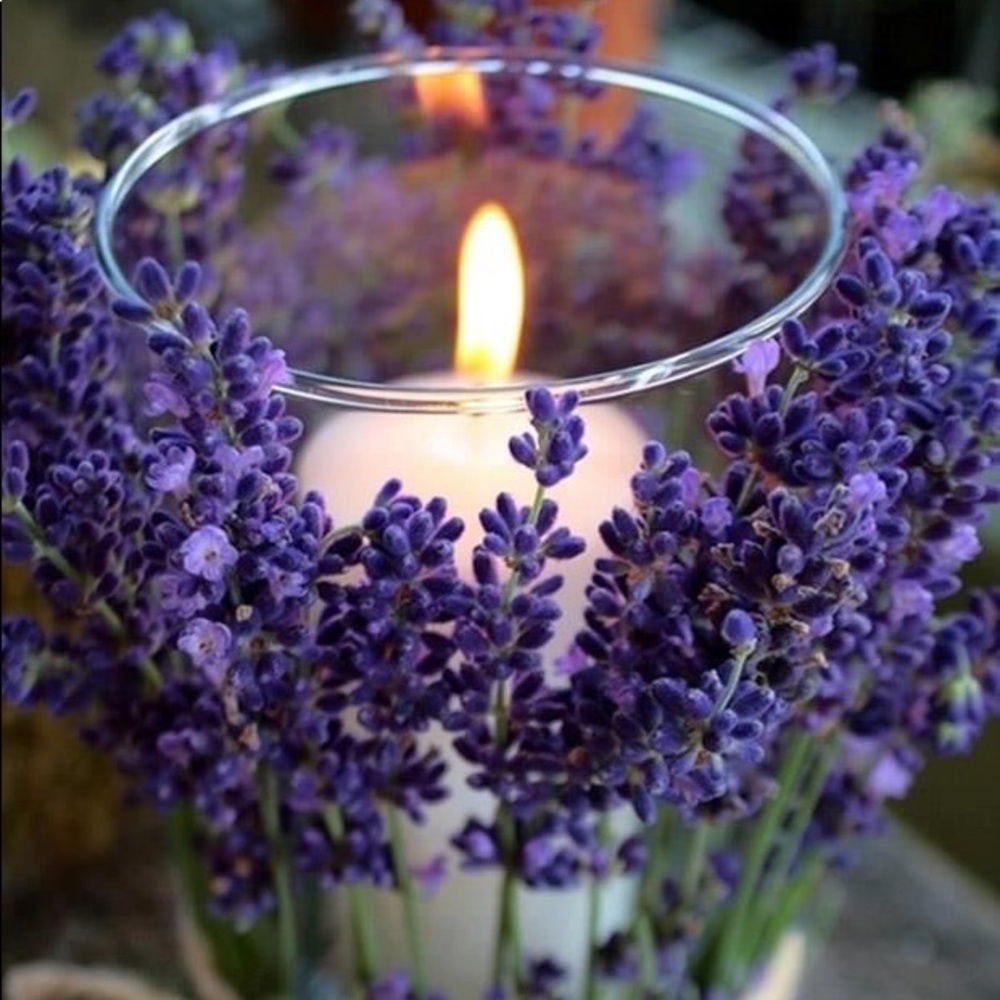 Meet your Posher, Norma